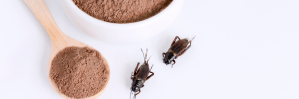 %7Bb9d7efab-0a91-4cd7-b374-4bb0ed887133%7D_insect_based_foods.png